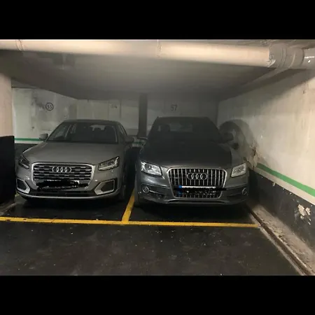 Frente Al Guggenheim Con Wifi Y Parking Privado Zbe -bajas Emisiones Gratis * بلباو